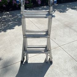 Werner 13’ Extendable Ladder 300 Lbs 