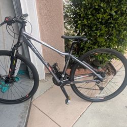 Liv Giant Hybrid Bike Size Small Disc Brakes Excellent Shape