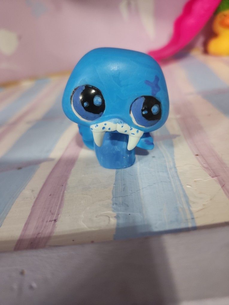 Custom Walrus