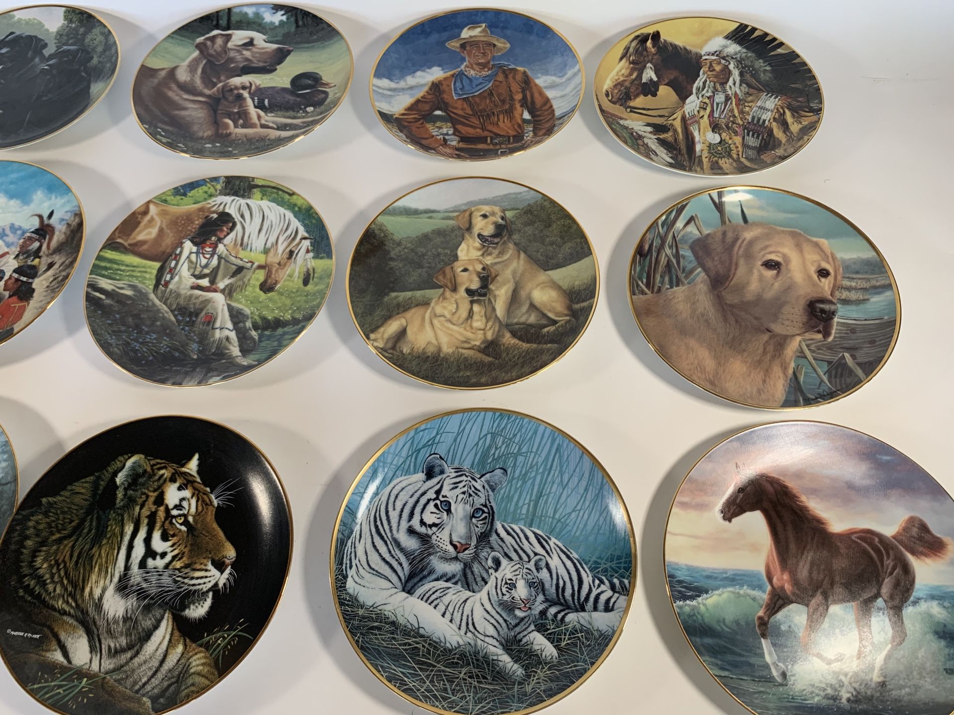 Imperial Tiger Decorative Porcelain Plates