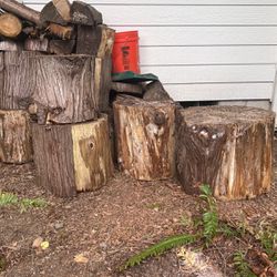 Free Cedar Rounds + Cut Wood Firewood