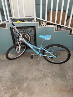 Excellent bicycle for the for youth or petite adult