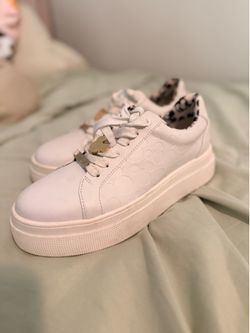 Disney w Capsule