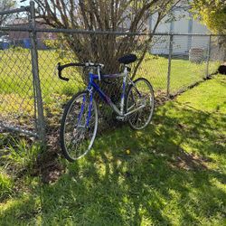 Just Trying To Get Rid Of Stuff