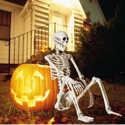Skeleton Display Large 