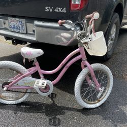 Girl’s Trek 19” Bike