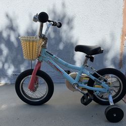Retrospec toolset bike with training wheels