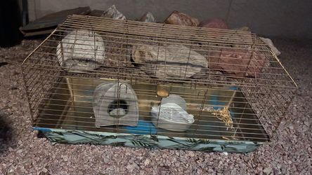 Single guinea pig cage with accessories
