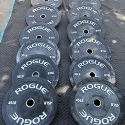 Rogue Echo Bumper Plates For Sale 