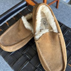 Ugg Slipper