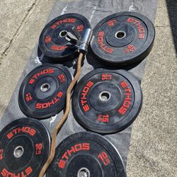 Bumper Plates And Curl Bar 