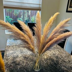 Dried Pampas Grass Bundle