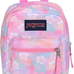Jansport Bag