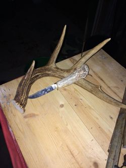 Deer antler knifes