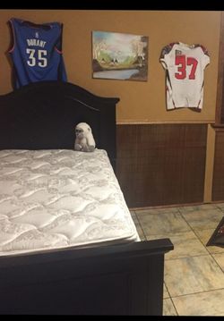 Twin Solid Wood Bed With Trundle