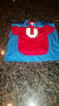 Small Under Dog costume