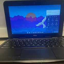 Dell Laptop 