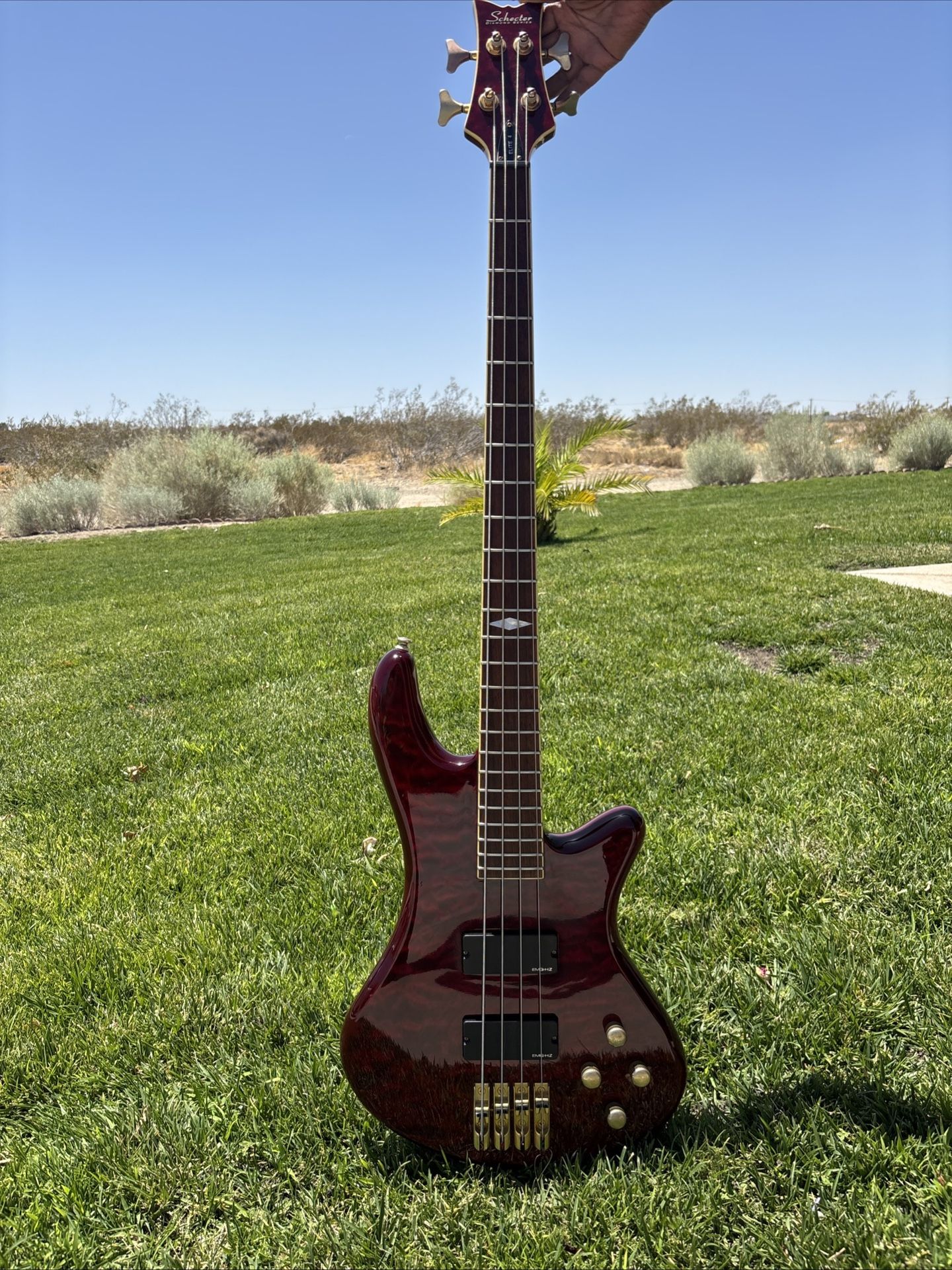 Schector Guitar