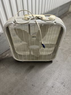 Fan 