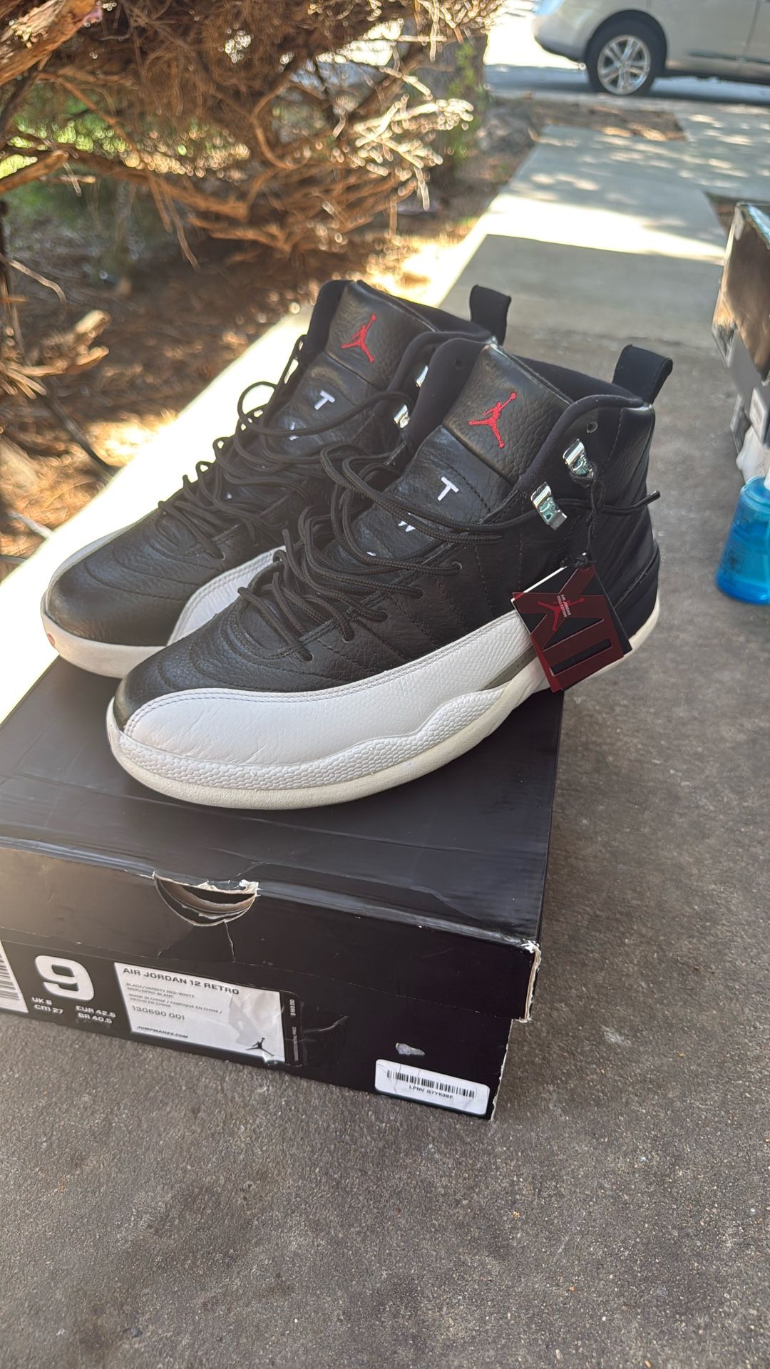 2011 Jordan 12 Playoffs