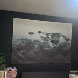 70in Picture Canvas 