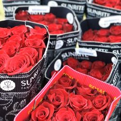 Valentines Arrangements
