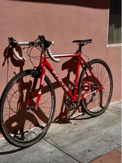 Focus racing Bike