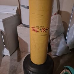 Kick Boxing Bag
