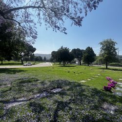 CEMETERY PLOT, Rose Hills Memorial Park - (Whittier, Ca)