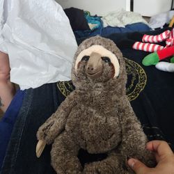 Stuffed Animal