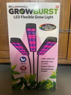 LED grow light plant