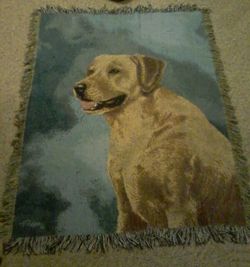Dog Throw