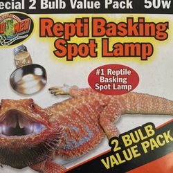 New bearded dragon essentials