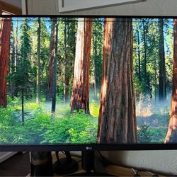 LG 32” UltraFine 4K Monitor (32UN650, Black)