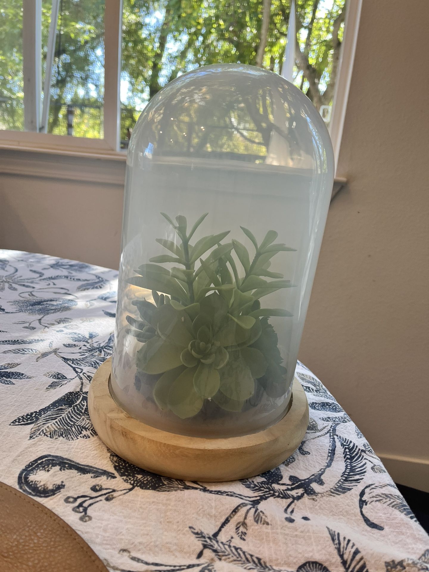 Decorative Glass Cloche with Faux Succulent