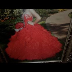 Prom And Quinceañera Dresses 