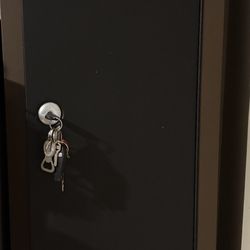 Gun safe