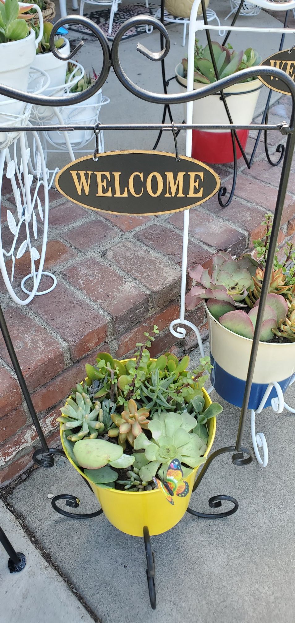 2pc Beautiful welcome/bienvenidos rectangular plant stand with planter packed with succullents