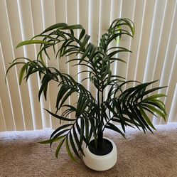 Fake Decorative Plant 