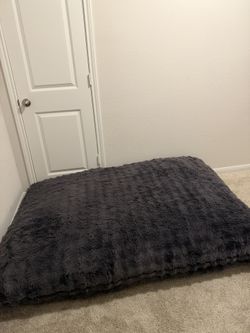Adult Beanbag Chair Or Bed