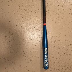Adirondack Softball Bat