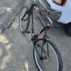 Biki