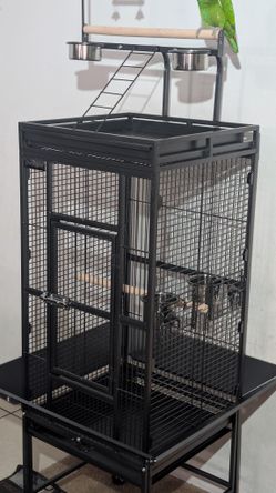 Parrots Cages