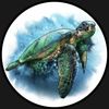 Exuberant_Turtle
