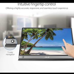 External Monitor Portable
