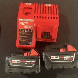 Milwaukee 5.0 batteries with charger