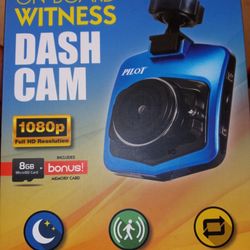 Witness car dash camera