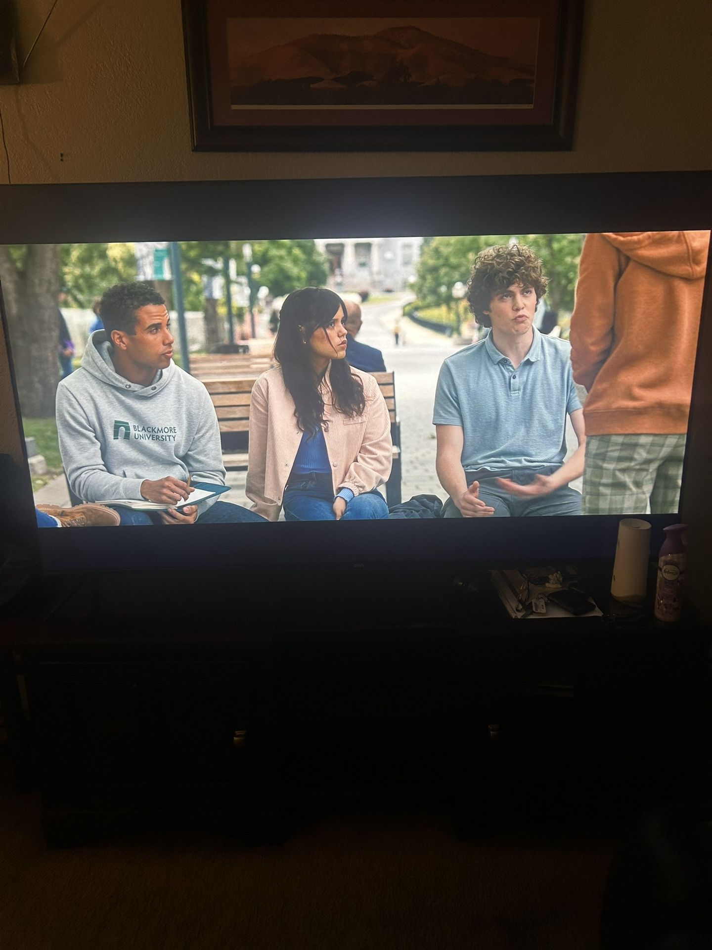 75 Inch Roku Tv