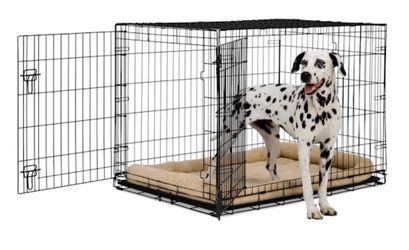EveryYay 2-Door Dog Crate, X-Large, 42" L X 29.1" W X 30.7" H, Black