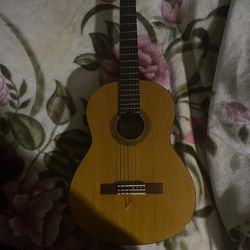 Acoustic guitar 
